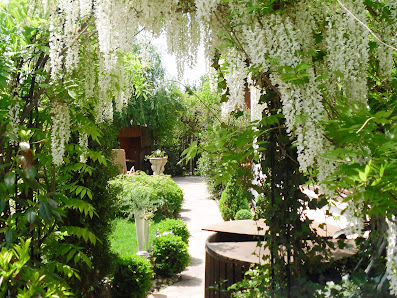 Garten und Landschaftspflege Thilo Schick