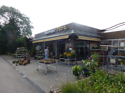 Blumen Noz - Firma Gustav Noz
