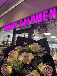 Violetas‘s Blumen