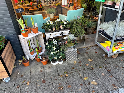 Blumen Timm