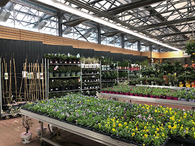 Grün erleben Fleur Gartencenter Bremen