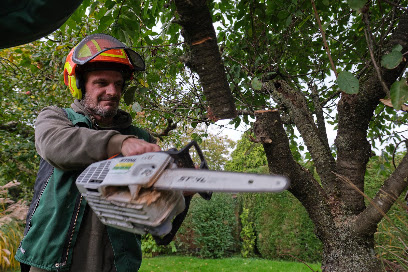 CASPAR ARENZ | Gartenbau in Bremen