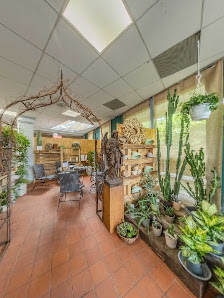 Die Blumen Palette - Blumenladen Bremen