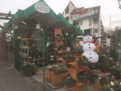 Blumen Stelter