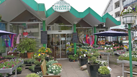 Blumen Stelter