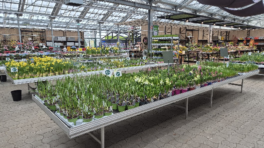 Weingärtner Gartencenter Lilienthal