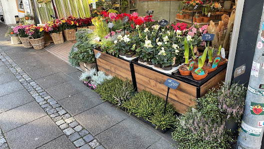 Blumen Timm