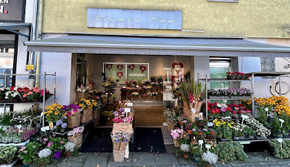 Blumen Timm