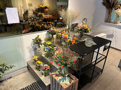 Blumen Timm