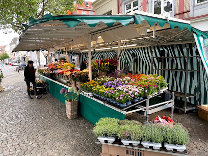 Blumen Timm