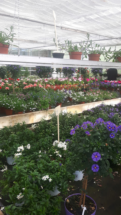 Hogekamp Blumen