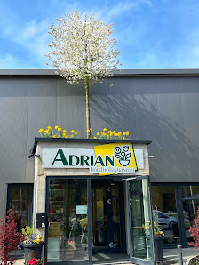 Friedhofsgärtnerei Adrian | Osterholzer Friedhof