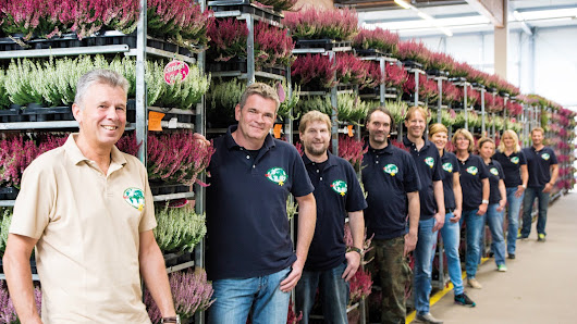 Marktverband Bremen GmbH - mvb plants worldwide