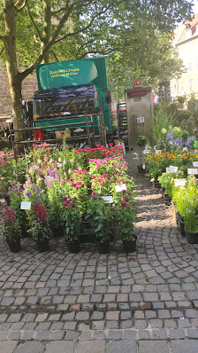 Blumenmarkt Unser-Lieben-Frauen-Kirchhof