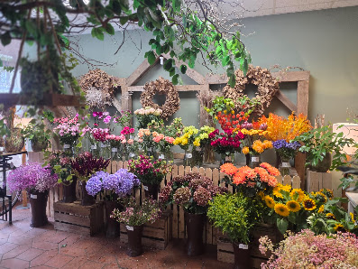 Blumen Laura Weber