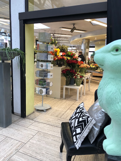 Hess Blumen Pflanzen Leben