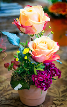 Creativ Fleur Petras - Blumen in Spandau