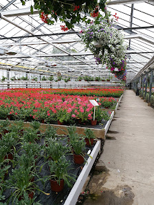 Blumen Herzog