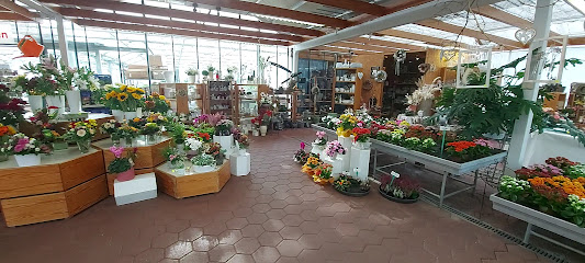 Blumen Herzog