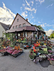 Fildergartenmarkt Briem