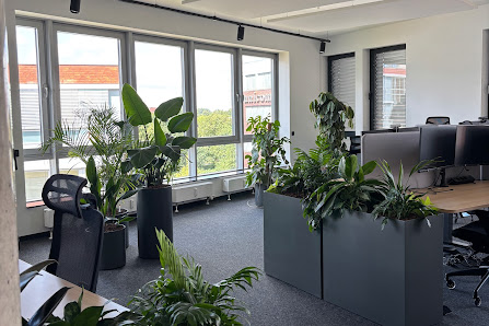 Plant Care