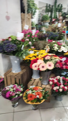 Blumen- Strötzel