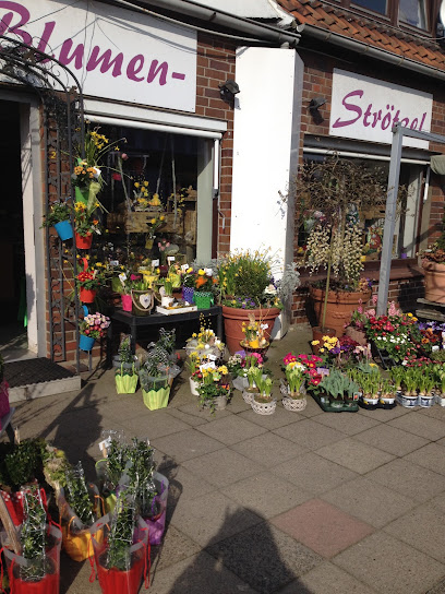 Blumen- Strötzel