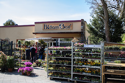 BloomBox Berlin