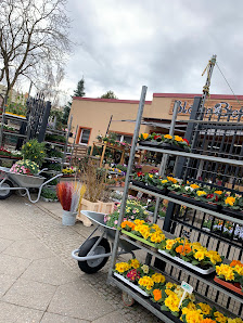 BloomBox Berlin