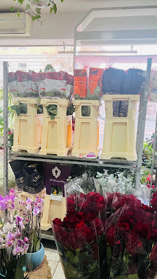 Blumen & Pflanzen 85