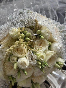 Blumen & Pflanzen 85