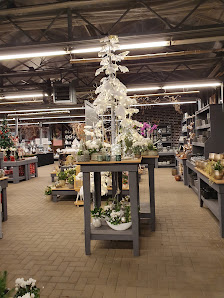 Grün erleben Fleur Gartencenter Ganderkesee