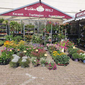 Elias Blumenwelt GmbH
