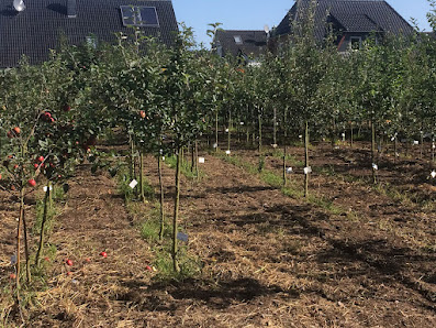 Brons Baumschulen
