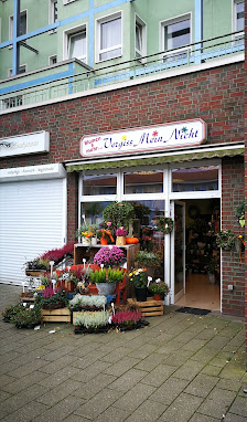 Blumenhaus Vergiss Mein Nicht