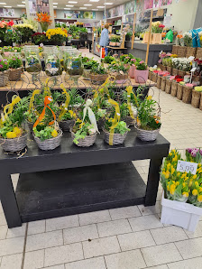 Fleur Shop