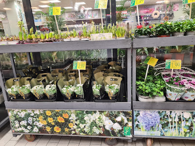 Fleur Shop