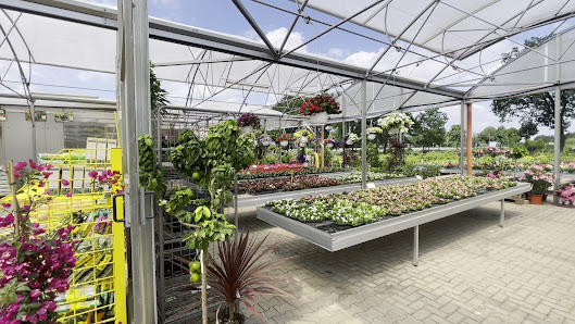 Frickes Gartencenter