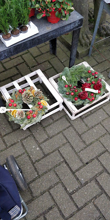 Blumen & Ambiente