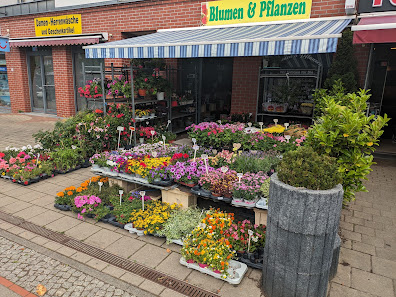 Blumen & Pflanzen