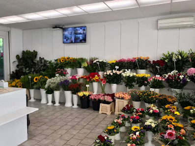 Blumen & Pflanzen