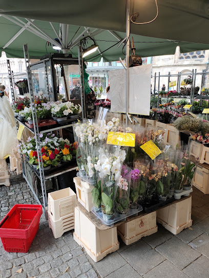 Blumenstand an der Münsterkirche I Innenstadt Essen
