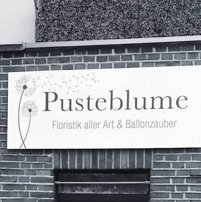 Blumen Pusteblume | Blumen in Essen