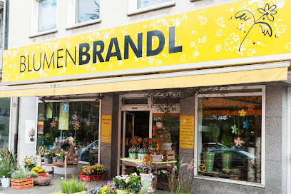 Blumen Brandl