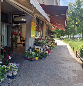 Le Blumen & Pflanzen