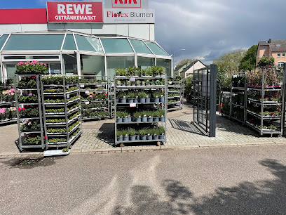 Florex Blumen GmbH