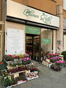 Blumen Layla