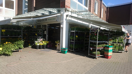 Ambiente Blumen & mehr