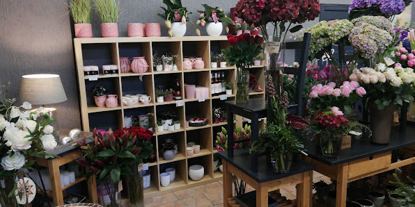 Schnittstelle 70 - Zwei Quynh 1 Blumen & Pflanzen