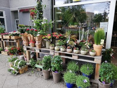Schnittstelle 70 - Zwei Quynh 1 Blumen & Pflanzen
